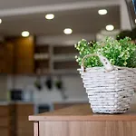 Sunny In The Center Of For 5guests Appartement *